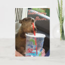 Suche nach moses karten Spaß