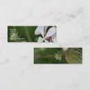 Recherche de éternel cartes visite Floral