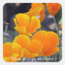 Recherche de plantes autocollants Fleurs