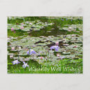 Suche nach wasserlilien postkarten Teich