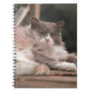 Suche nach katzen notizbuch Haustier