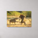 Suche nach südafrika leinwandbilder Gefahr