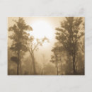 Recherche de fog cartes postales Landscape