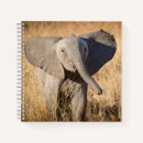 Recherche de tronc de carnets Éléphant