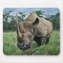 Recherche de rhinocéros tapis souris Faune