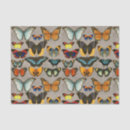 Recherche de entomologie Papillon