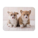 Recherche de deux animaux magnets Corgi