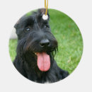 Recherche de écossais ornements Chien