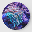 Suche nach sea life poster Coral reef