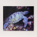 Recherche de tortues puzzles Océan