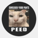 Recherche de chat stupide Mème