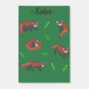 Suche nach roter panda poster Säugetier