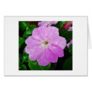 Suche nach tau postkarten Blüte