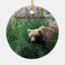 Suche nach braunbär ornamente Bären