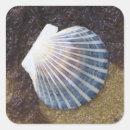 Recherche de algue autocollants Coquillage