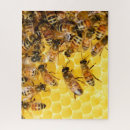 Suche nach honigbienen puzzle Bienenstock