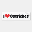 Recherche de autruche Amour