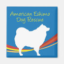 Recherche de esquimau Spitz