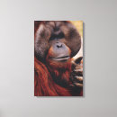 Suche nach orang utan leinwandbilder Primat