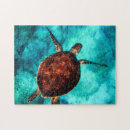 Recherche de turtle puzzles Tortue de mer