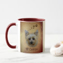 Recherche de terrier cairn tasses Chien