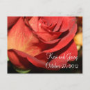 Recherche de faune flore cartes postales Jardin