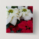 Recherche de poinsettia badges Xmas