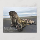 Suche nach driftwood poster Landschaft