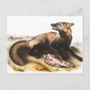 Suche nach fuchs vintage postkarten Tierwelt