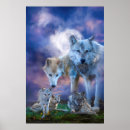 Recherche de portrait loup posters Loup de bois