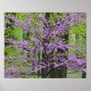 Suche nach heller frühling poster Landschaft