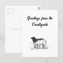 Recherche de agneau blanc cartes postales Pour tous