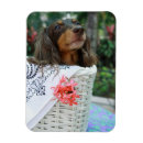 Suche nach korb magnete Vertikal