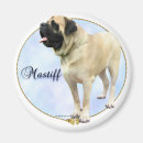 Recherche de sujets magnets Chien