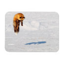 Suche nach sprung magnete Wildtiere