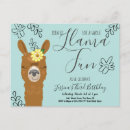 Recherche de cute llama Fiesta