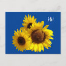 Recherche de tournesols cartes postales Jaune