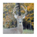 Suche nach mit rotwild fliesen Whitetail