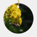 Suche nach hummeln ornamente Blume