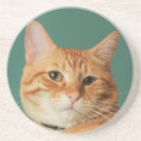 Suche nach katzenartig untersetzer Orange