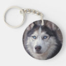 Suche nach husky schlüsselanhänger Sibirischer husthund
