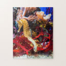 Recherche de seahorse puzzles Sauge