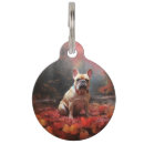 Recherche de bouledogue animaux articles Animal de compagnie