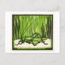 Recherche de cricket cartes postales Sauterelle