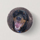 Recherche de souriant badges Animaux