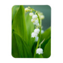 Recherche de ressort magnets Feuille