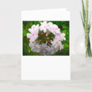 Suche nach phlox karten Blume