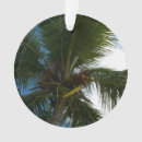 Recherche de cocotier ornements Palmier