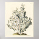 Recherche de pastel vintage art Aquarelle