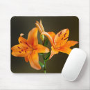 Recherche de lil tapis souris Nature